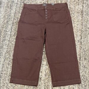 NWT Torrid brown cropped wide leg pants with button fly sz 18